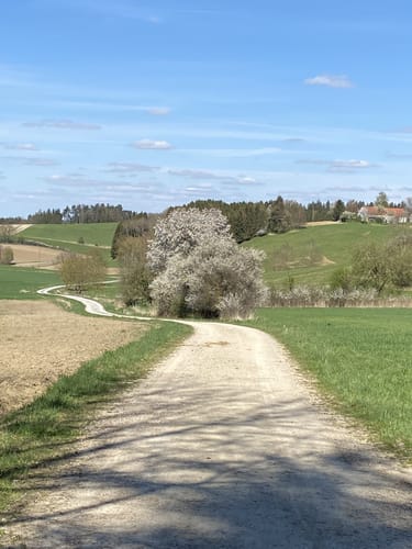 Hohenkammer und Petershausen