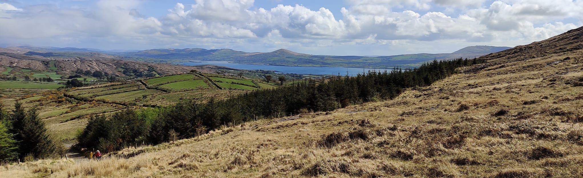 Sheep's Head Way Seefin Loop 49 Fotos County Cork, Irland AllTrails