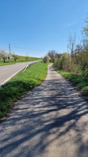 Rundwanderweg Waibstadt 6: Geren-Weg
