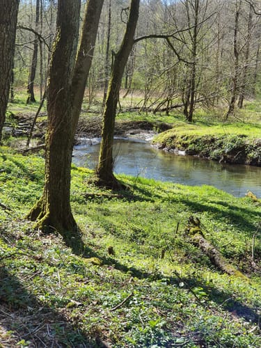 Stumpenhagen Waldwanderung