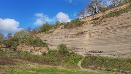 Tour 2246 - Ascheschichten und Lavaströme in Mendig