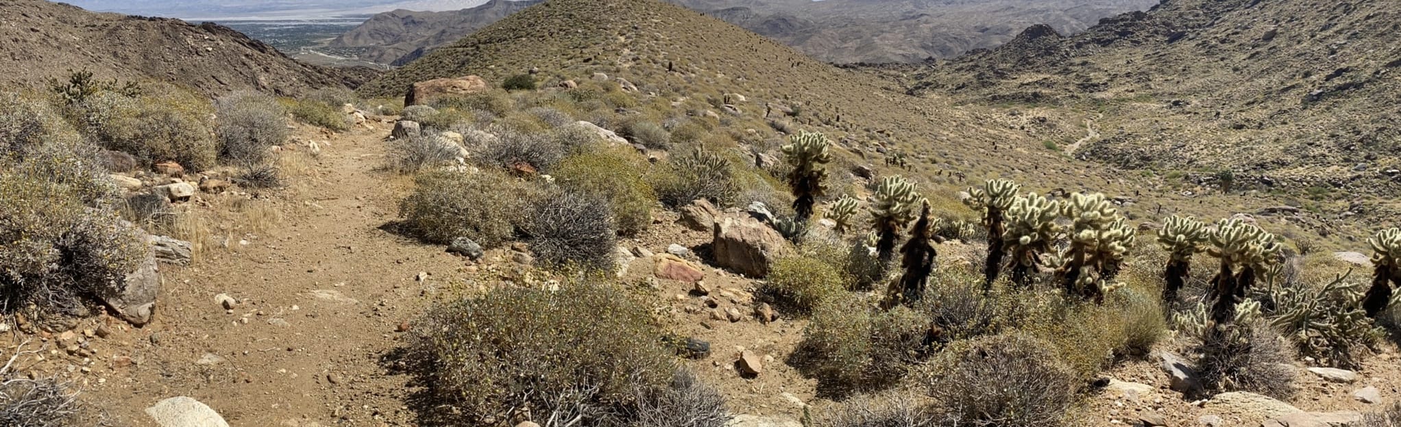 Picture of Indian Canyon West Fork Trail - California | AllTrails