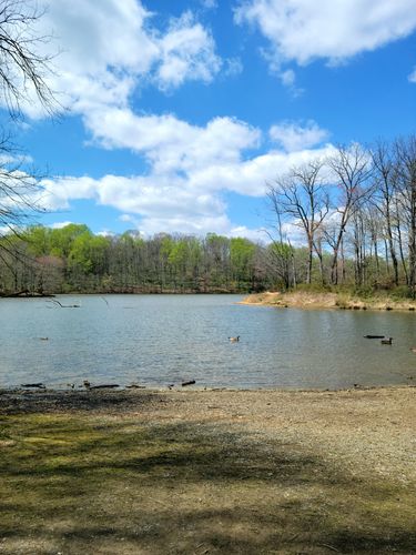 Best Hikes and Trails in Potomac Woods Park | AllTrails