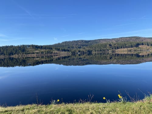 Schluchsee - Ostufer ab Unteraha