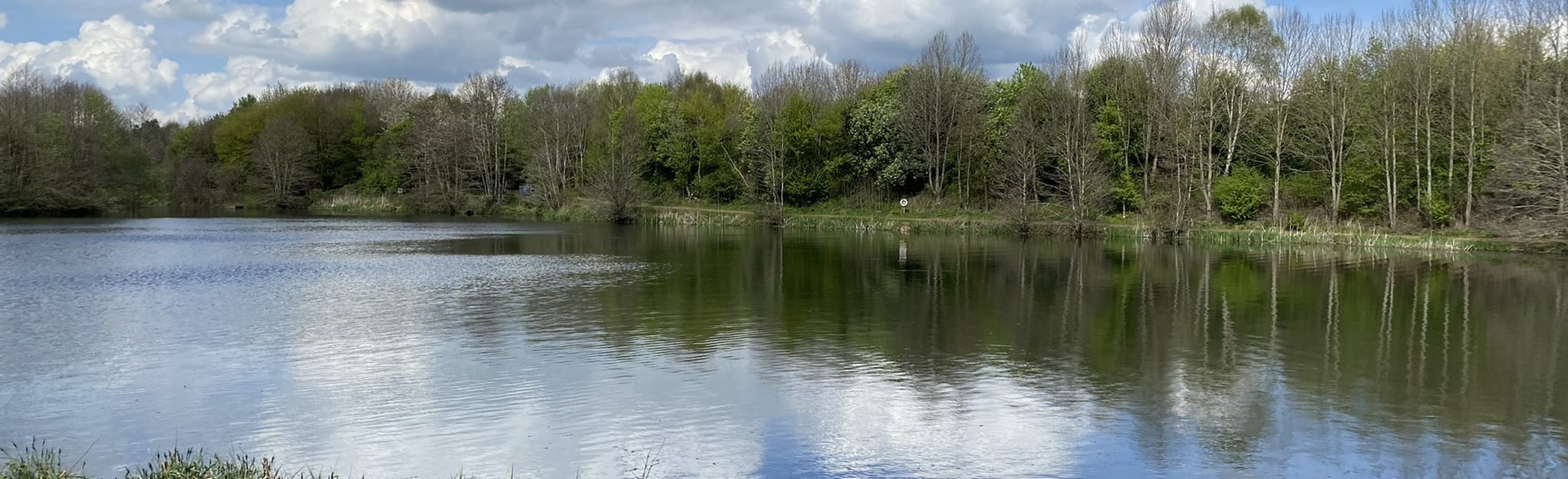 Alderford Lake Circular 2 Reviews, Map Shropshire, England AllTrails