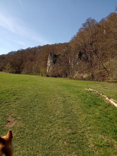 Zur Ruine Wartstein und dem Wasserfall Hohe Gießel
