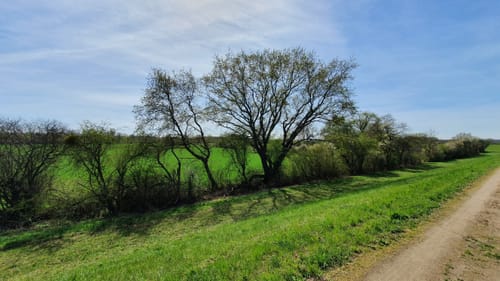 Knoblochsaue ab Yachthafen Erfelden