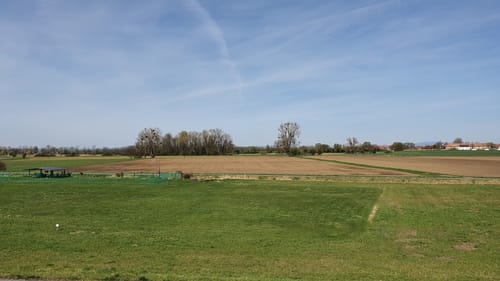 Knoblochsaue ab Yachthafen Erfelden