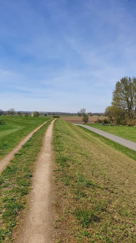 Knoblochsaue ab Yachthafen Erfelden