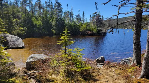Best Moderate Trails in Butter Pot Provincial Park | AllTrails