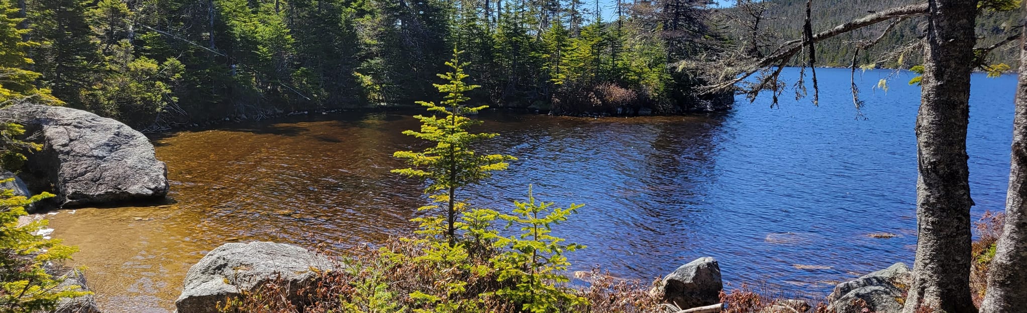 Pegwood Pond Trail 74 Fotos Neufundland und Labrador, Kanada AllTrails