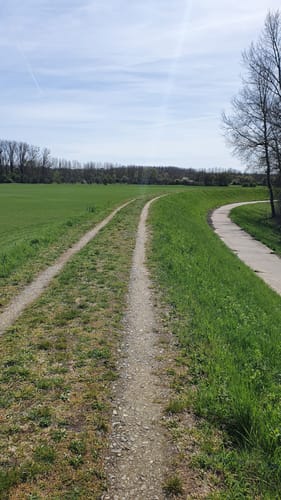 Knoblochsaue ab Yachthafen Erfelden