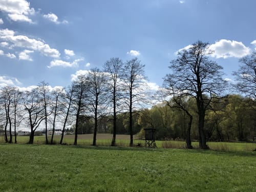 Diedorf Rundweg entlang des Kehlbachs