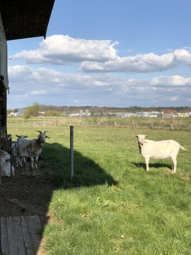 Diedorf Rundweg entlang des Kehlbachs