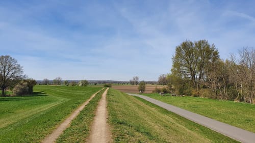 Knoblochsaue ab Yachthafen Erfelden