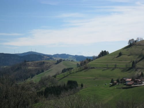 Bad Krozingen - Mühlheim - Schönau im Schwarzwald - Münstertal