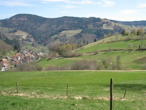 Bad Krozingen - Mühlheim - Schönau im Schwarzwald - Münstertal