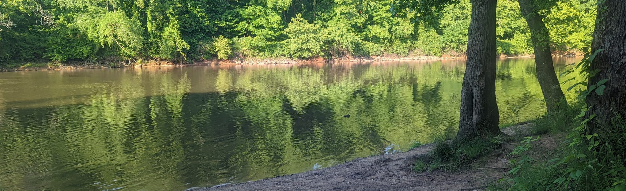 Saxapahaw Island Park, North Carolina 280 Reviews, Map AllTrails