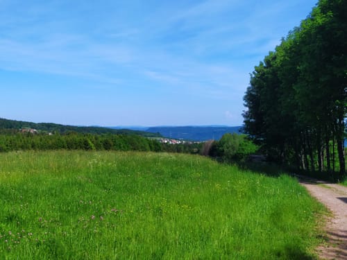 Durch den Wald bei Hänner