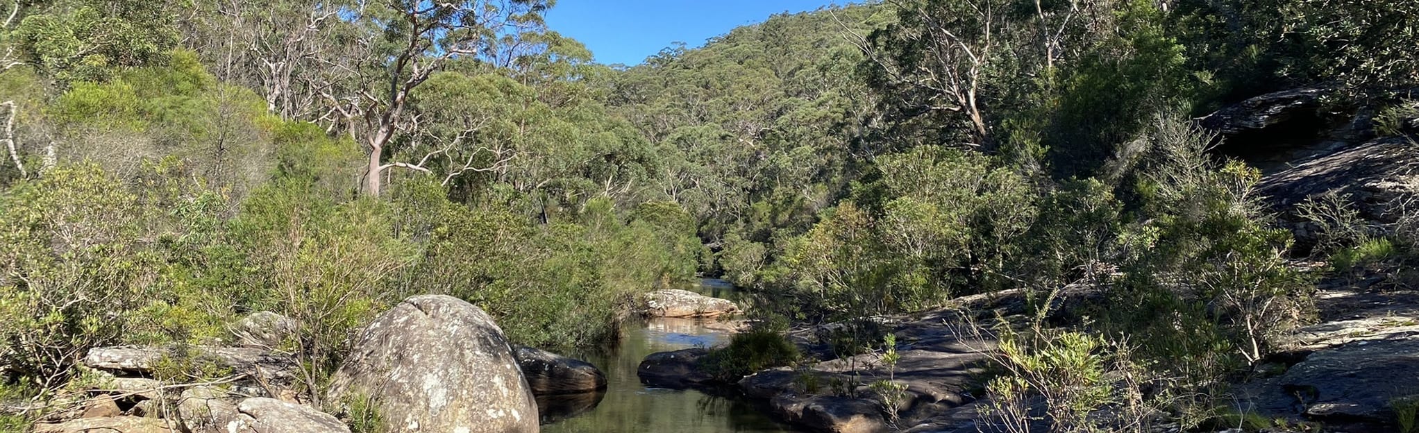 Kangaroo Creek, Uloola Falls, Karloo Loop New South Wales, Australia AllTrails