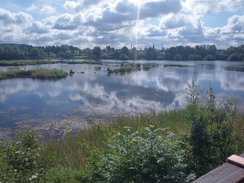 Ökosee Dillingen / Saar