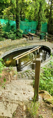 Rund um Wilhermsdorf