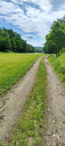 Rund um Wilhermsdorf