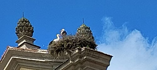 Rund um Wilhermsdorf