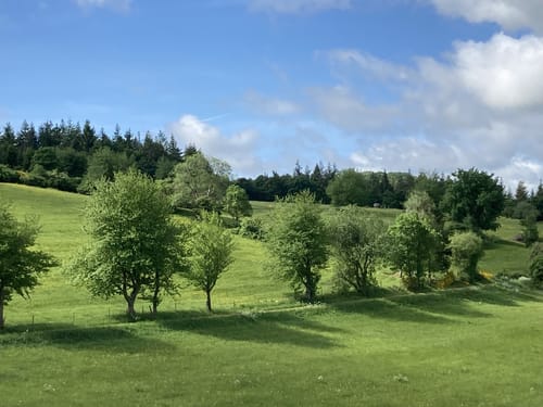 Auf den Spuren der Grünen Hölle