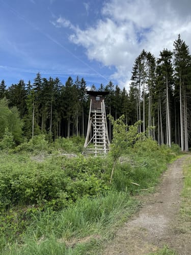 Kolonnenweg Regnitzlosau nach Posseck