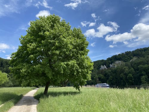 Altmühltal-Panoramaweg Schlaufe 27: Kelheim