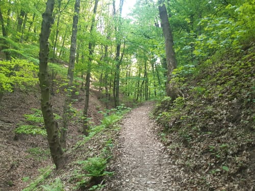 Poetenweg - Amselgrund