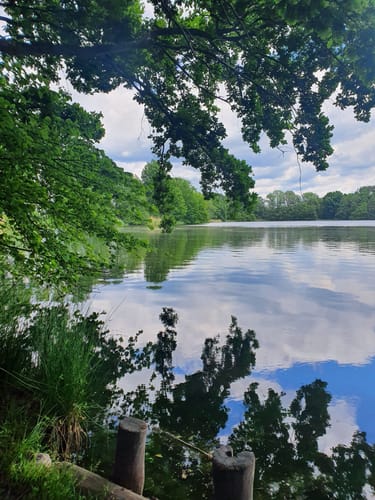 Briesing: Teich-Runde
