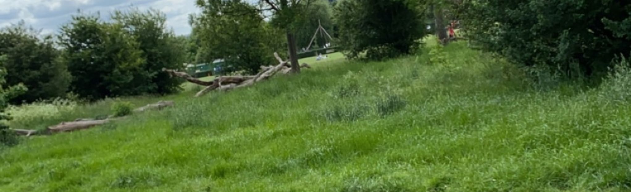 Wormwood Scrubs and Little Wormwood Circular, London, England 7