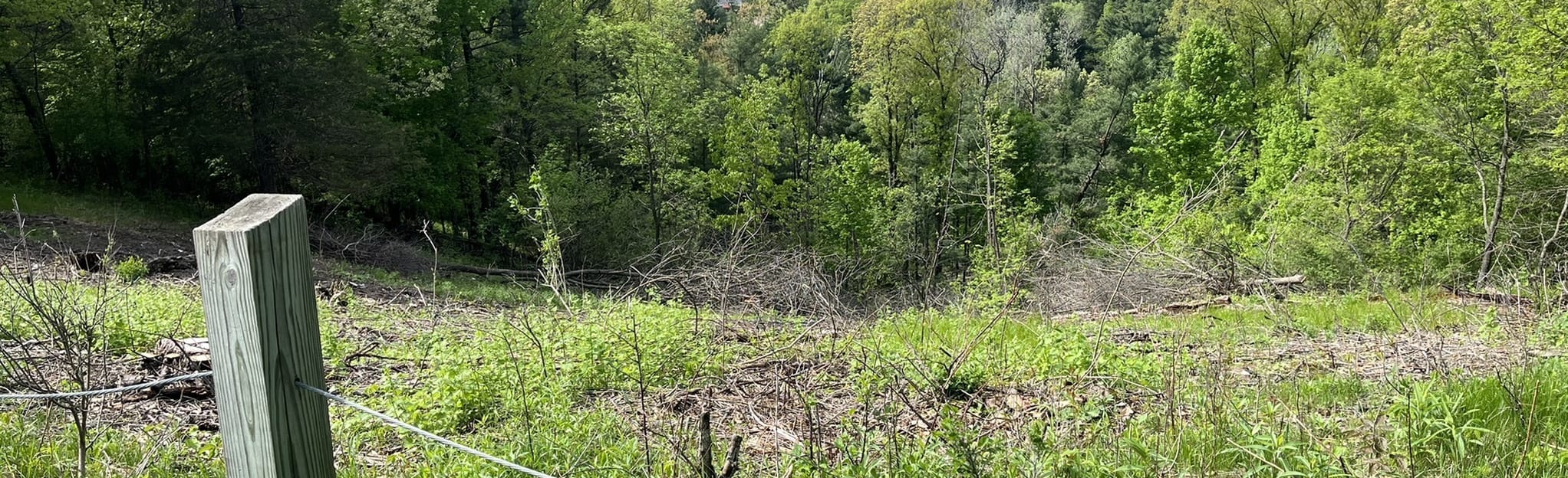 Mount Morris Overlook 50 Reviews, Map Wisconsin AllTrails