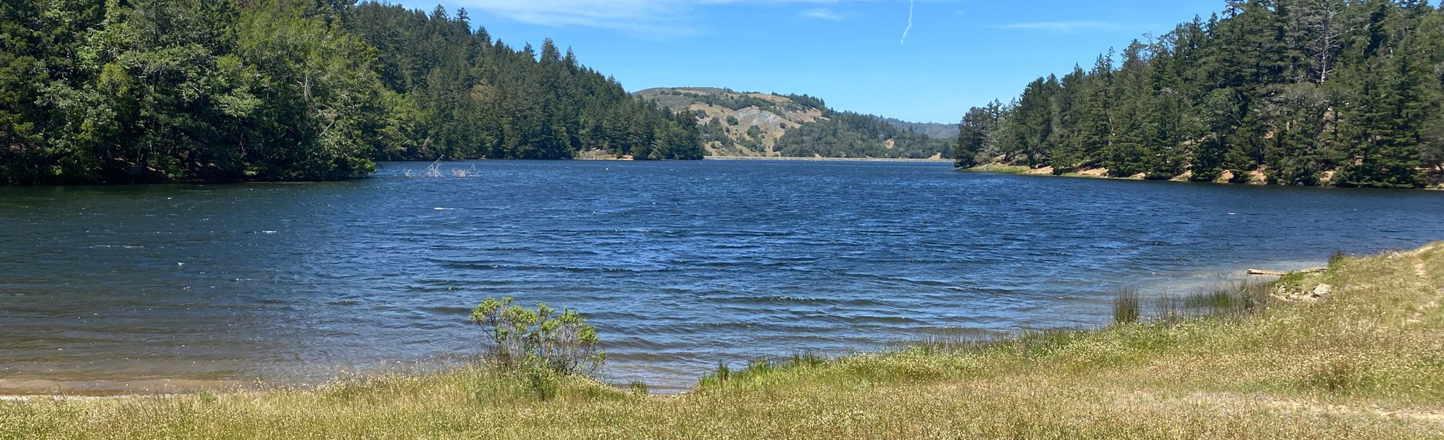 Bon Tempe Lake Loop: 1534 Reviews, Map - California | AllTrails