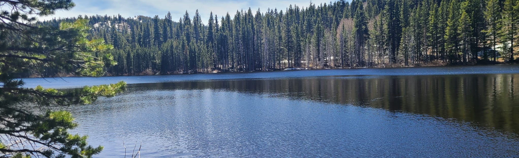 Hobart Creek Reservoir Trail (via Carson City) Nevada AllTrails