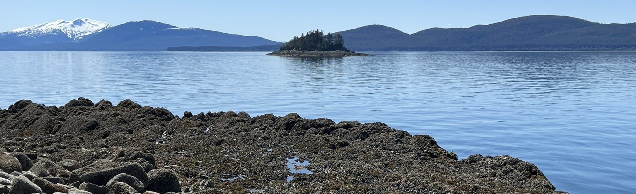 Breadline Bluff Trail 27 Reviews, Map Alaska AllTrails