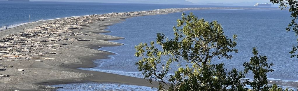 Dungeness Spit - Wikipedia
