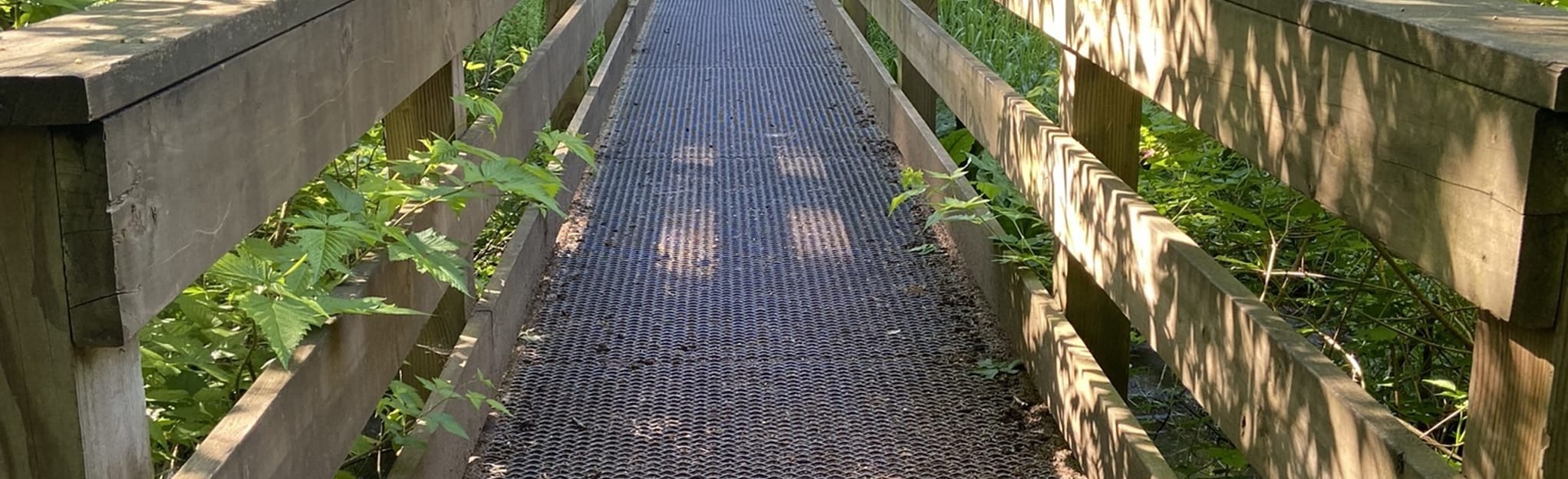 Port Kells Park 24 Reviews, Map British Columbia, Canada AllTrails