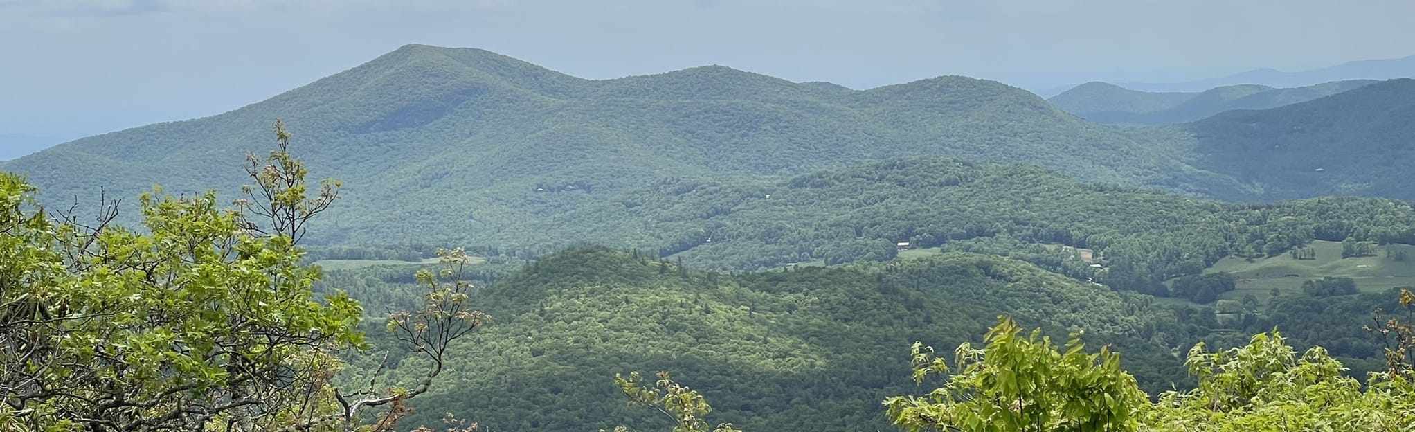 Scaly Mountain Summit via Hickory Knut Road, North Carolina 416 Reviews, Map AllTrails