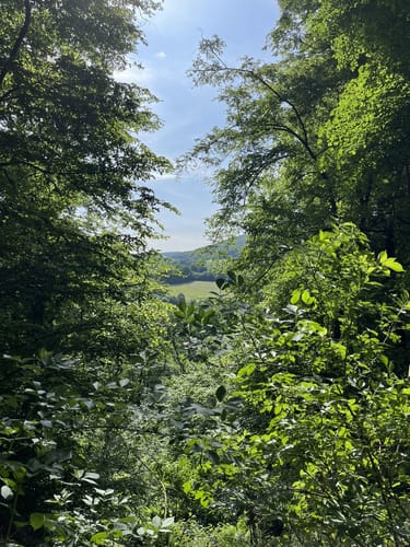 Zu den Wichtelhölen Bad Kissingen