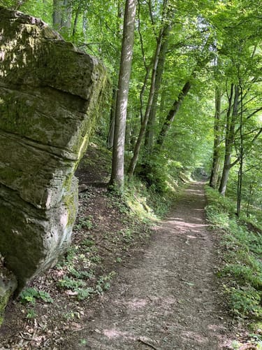 Zu den Wichtelhölen Bad Kissingen
