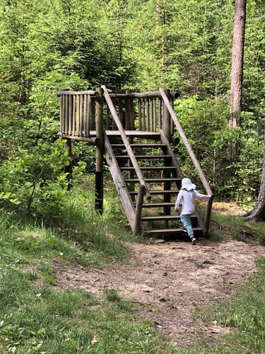 Kindererlebnisweg Zauberwald in Mengersdorf
