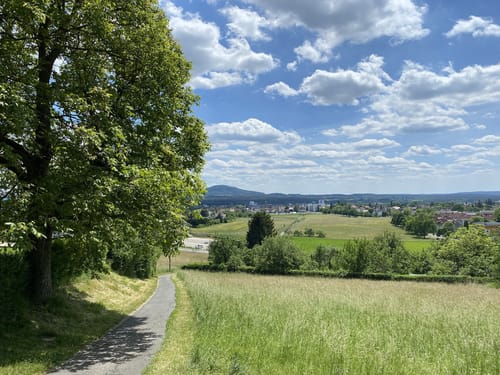 Lauf an der Pegnitz Runde