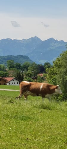 Samerberg von Grainbach über die Käseralm zur Kräuterwiese
