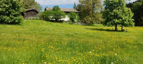 Samerberg von Grainbach über die Käseralm zur Kräuterwiese