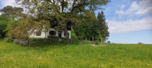 Samerberg von Grainbach über die Käseralm zur Kräuterwiese