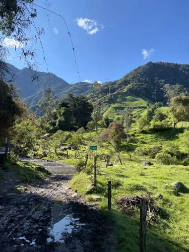 10 Best Trails and Hikes in Quindío