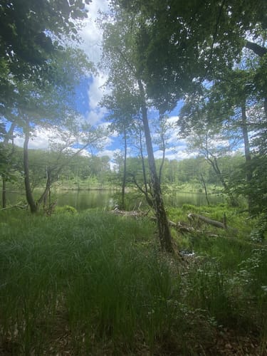 Um den Bachsee